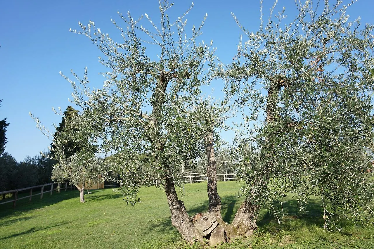 Villa Residenza Piandaccoli Lastra a Signa 0*,